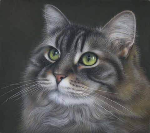 Marley, les yeux vert